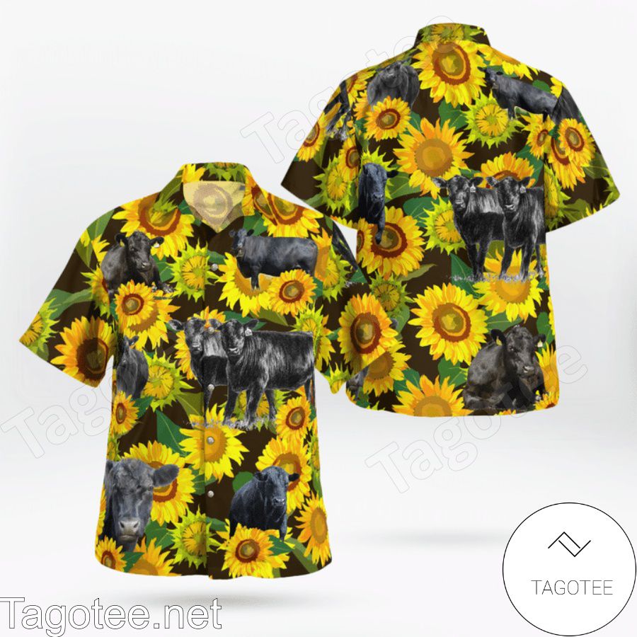 Black Angus Cattle Lovers Sunflower Hawaiian Shirt And Short