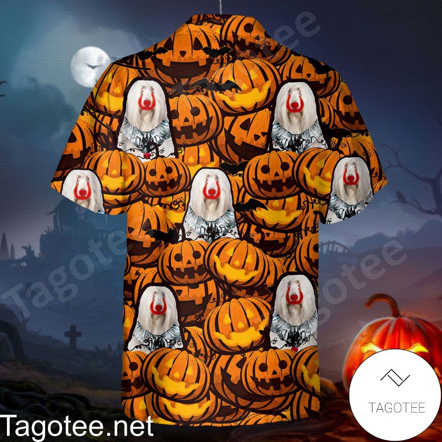 Bearded Collie Pumpkin Halloween Shirt a