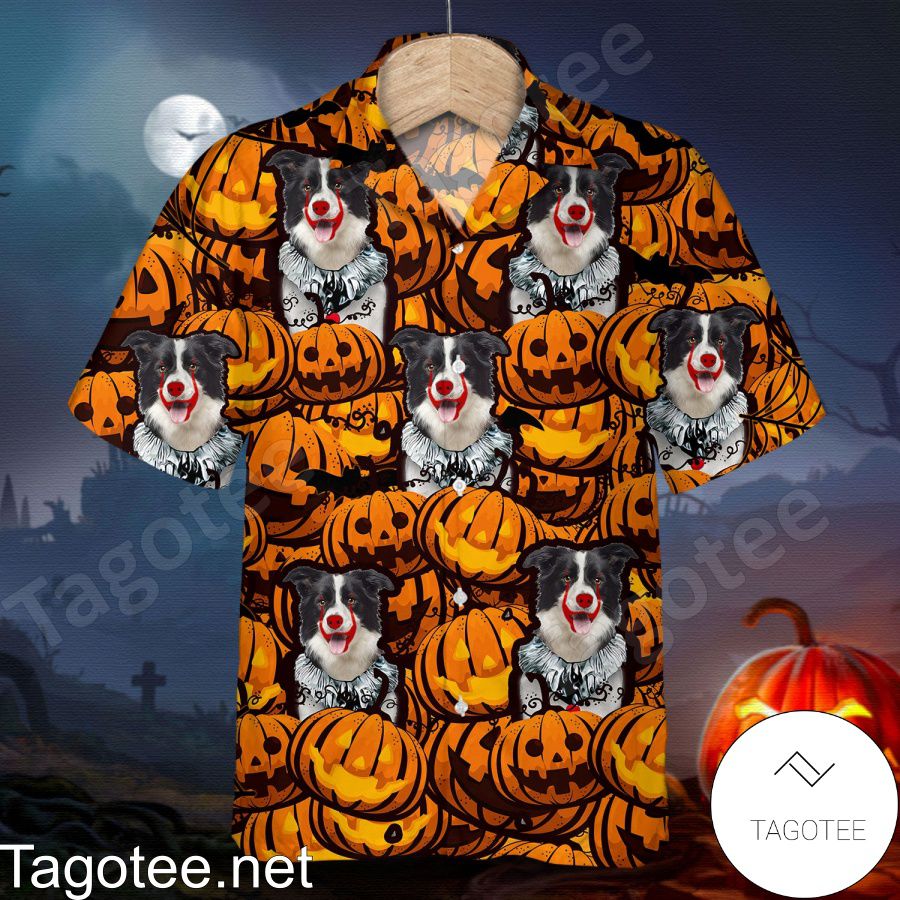 Border Collie Pumpkin Halloween Shirt