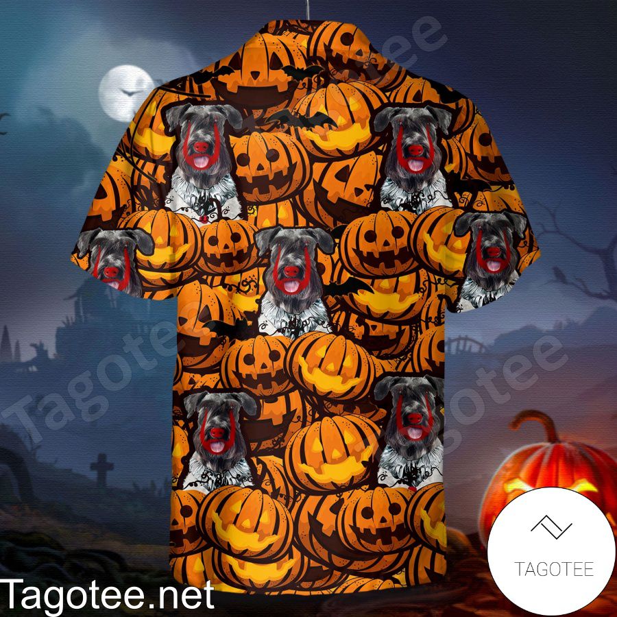 Cesky Terrier Pumpkin Halloween Shirt a
