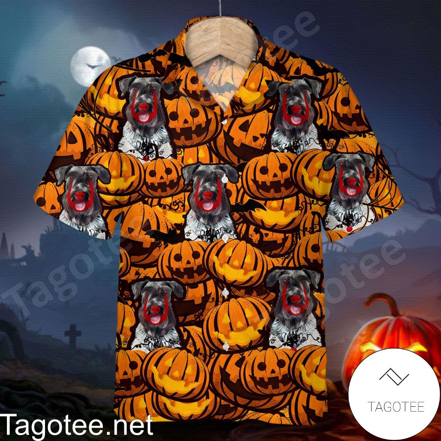 Cesky Terrier Pumpkin Halloween Shirt