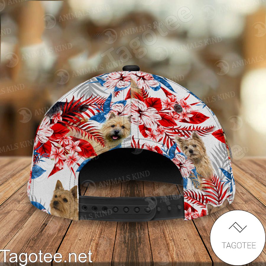 Norwich Terrier American Flag Cap a